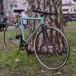 Bicicleta Single Speed Modelo BOREAL...