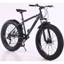 Fatbike SBK Brave Boy R26 con...